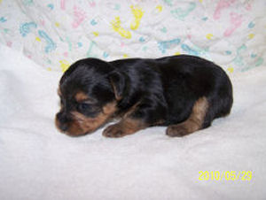 click here to see me grow