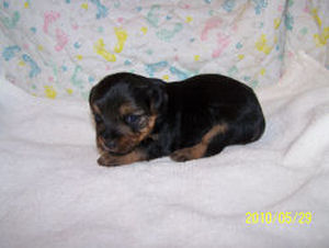 click here to see me grow