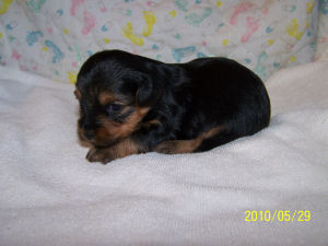 click here to see me grow