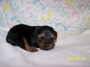 click here to see me grow