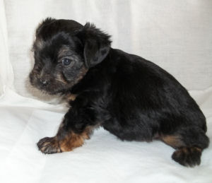 click here to see me grow